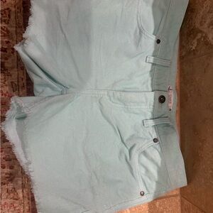 Carve Designs Oahu Hi Rise 4” Short Size 8. Light green/blue